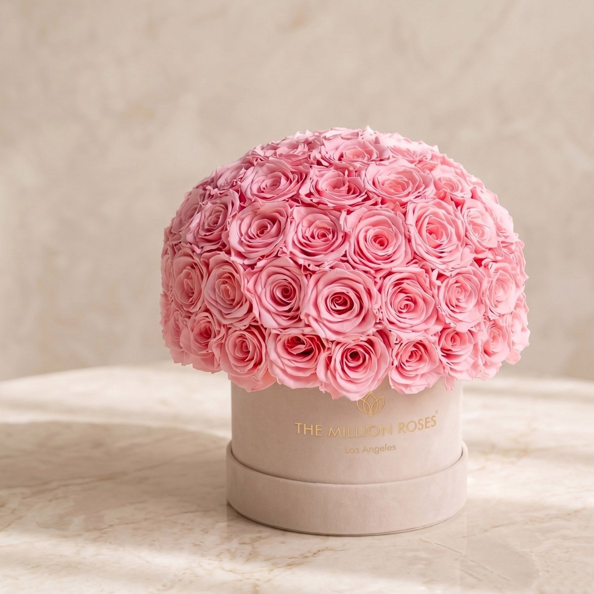 Classic Beige Suede Superdome Box | Light Pink Roses - HOUSE OF SHE