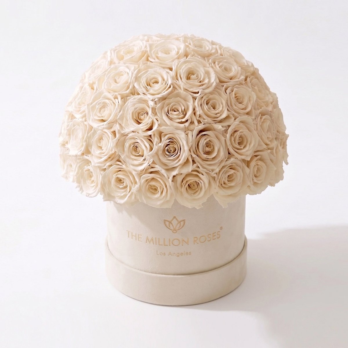 Classic Beige Suede Superdome Box | White Roses - HOUSE OF SHE