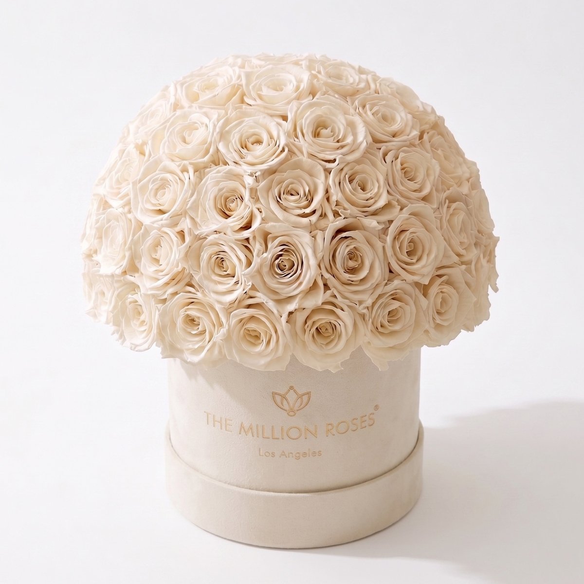 Classic Beige Suede Superdome Box | White Roses - HOUSE OF SHE
