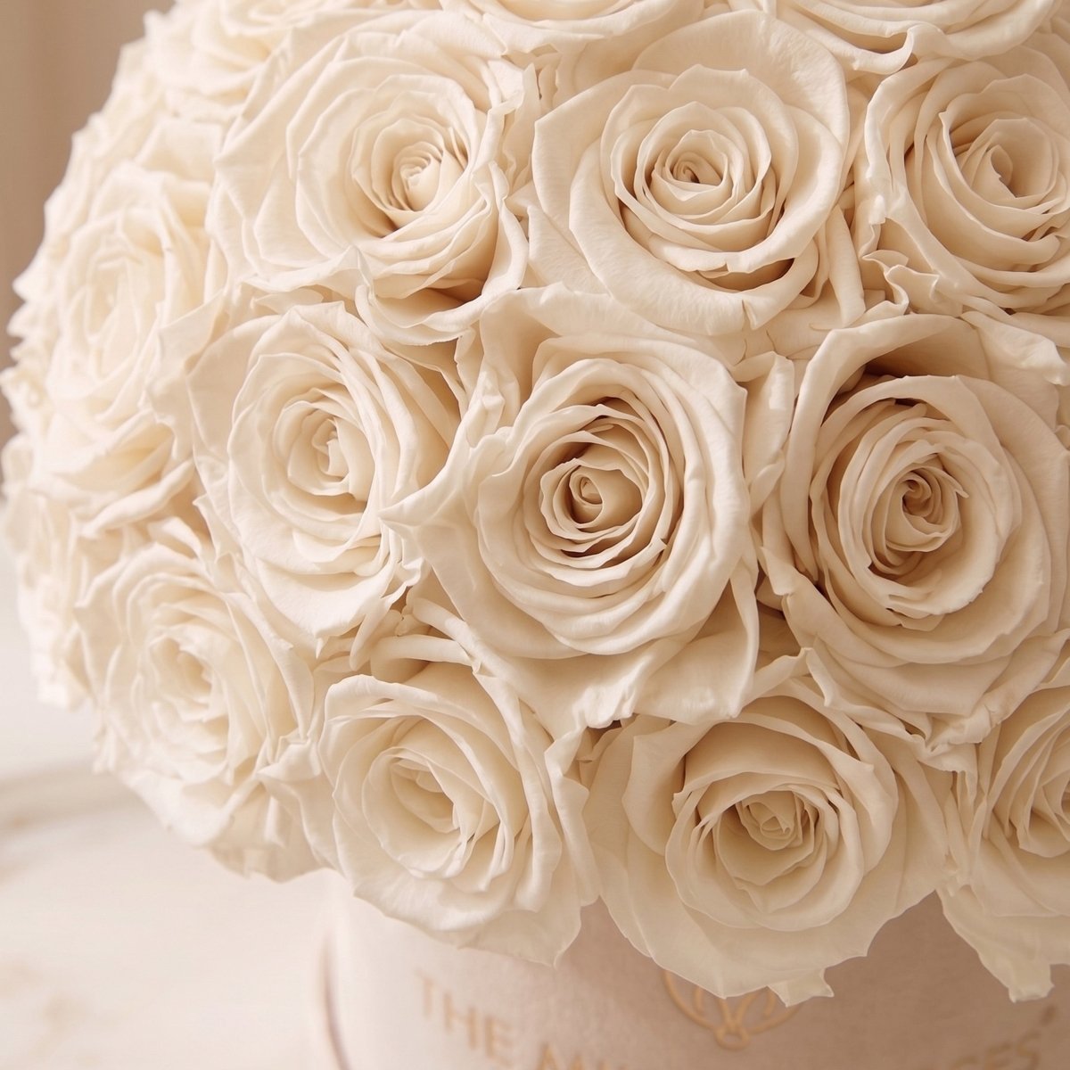 Classic Beige Suede Superdome Box | White Roses - HOUSE OF SHE