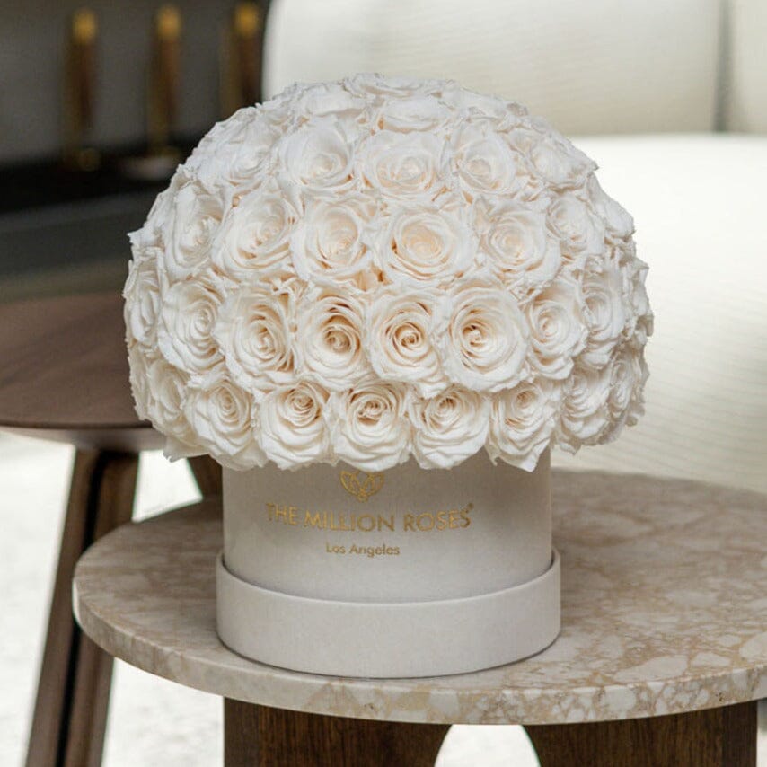 Classic Beige Suede Superdome Box | White Roses - HOUSE OF SHE