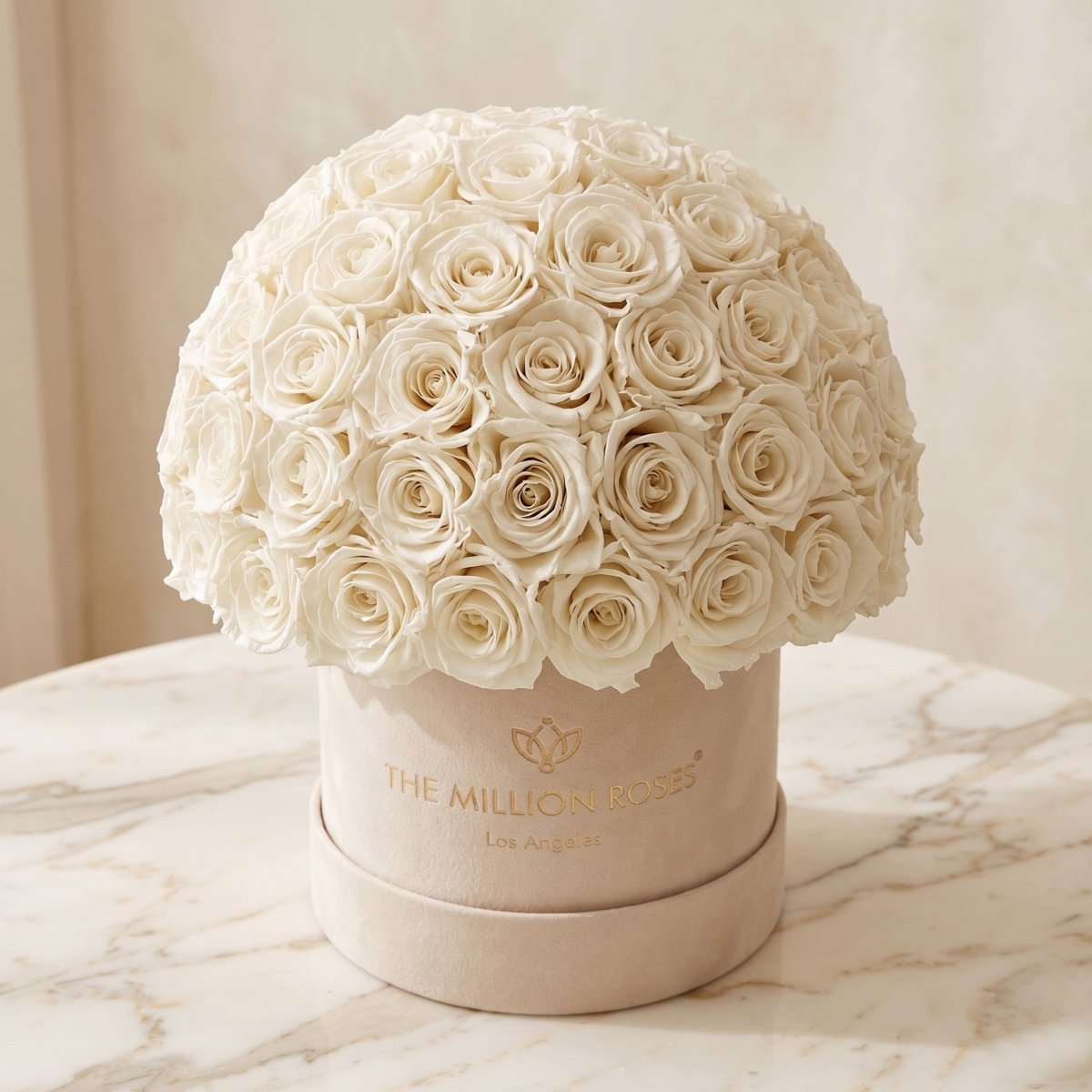 Classic Beige Suede Superdome Box | White Roses - HOUSE OF SHE