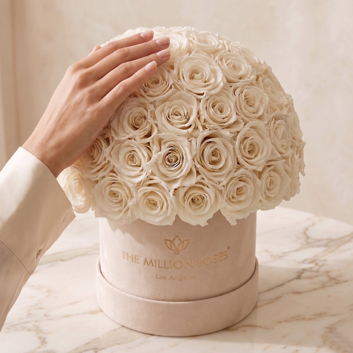 Classic Beige Suede Superdome Box | White Roses - HOUSE OF SHE