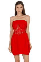 Daisy Strapless Lace Corset Dress - HOUSE OF SHE