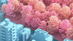 Dreamscapes & Artificial Architecture - HOUSE OF SHE