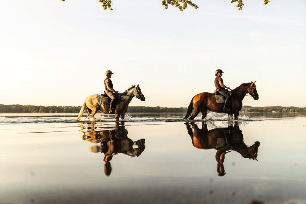Equestrian - The Ultimate Book - HOUSE OF SHE