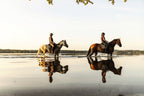 Equestrian - The Ultimate Book - HOUSE OF SHE
