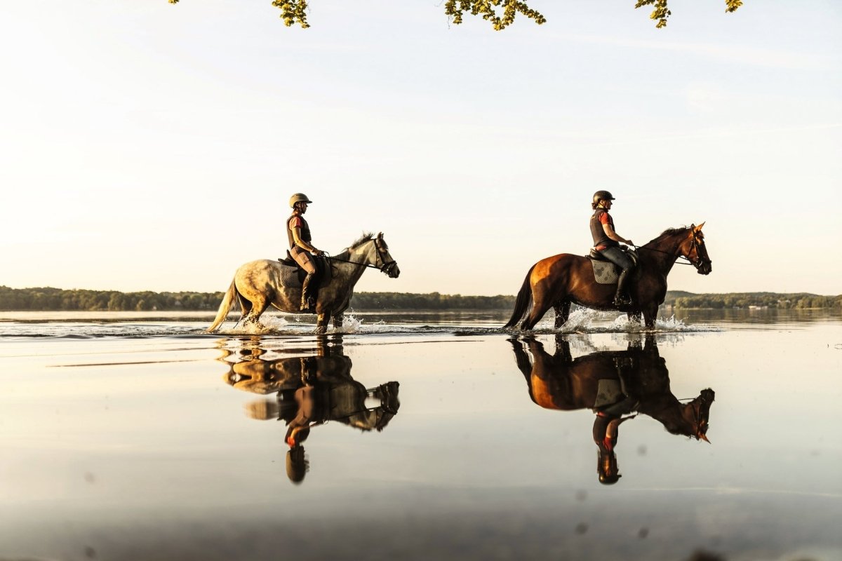 Equestrian - The Ultimate Book - HOUSE OF SHE