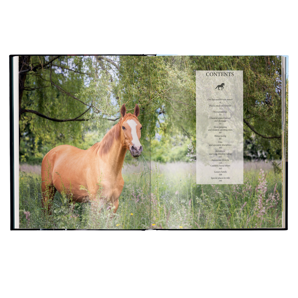 Equestrian - The Ultimate Book - HOUSE OF SHE