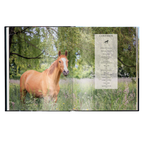 Equestrian - The Ultimate Book - HOUSE OF SHE