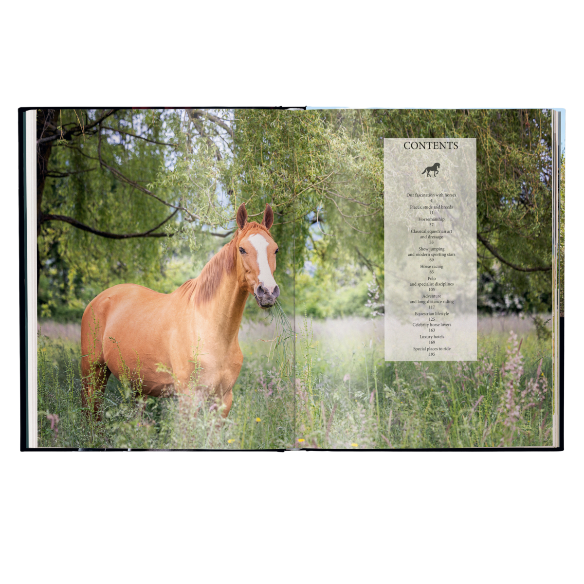 Equestrian - The Ultimate Book - HOUSE OF SHE