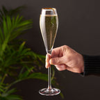 Gold-Rimmed Crystal Champagne Flutes Set of 2 - HOUSE OF SHE
