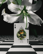 Grimmlore Tartan, Black Edition - HOUSE OF SHE