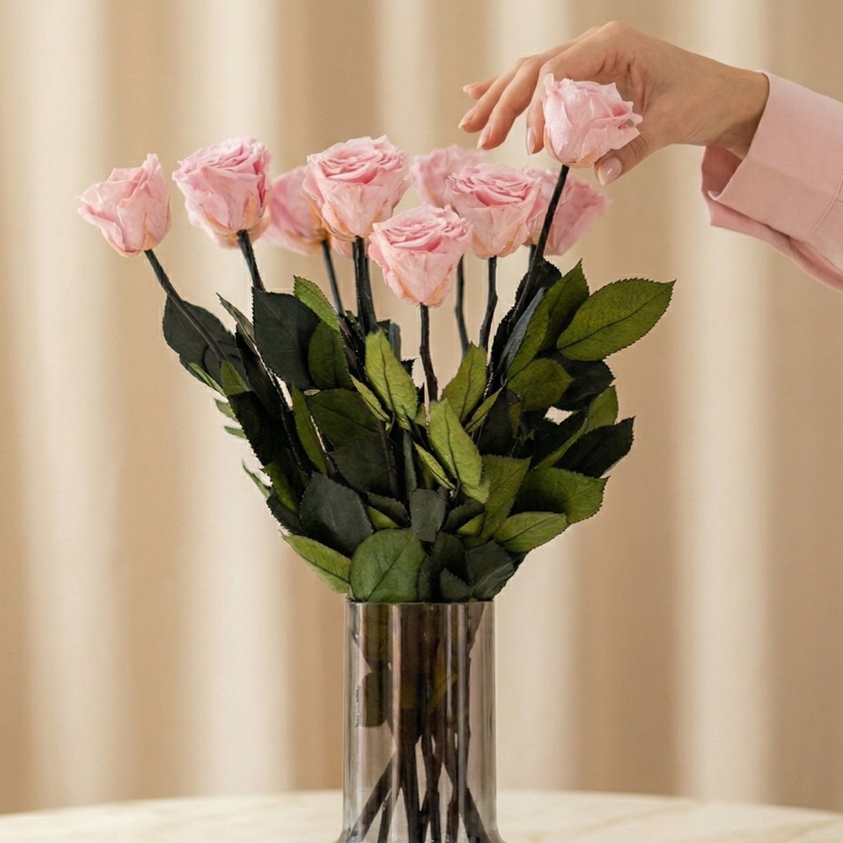 Long Stem Roses | Light Pink Roses - HOUSE OF SHE