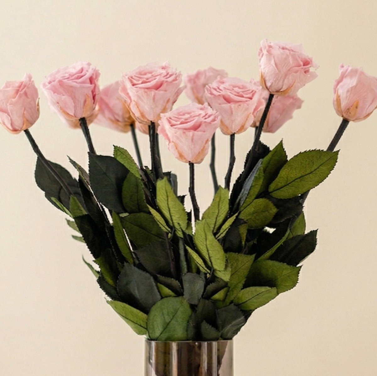 Long Stem Roses | Light Pink Roses - HOUSE OF SHE