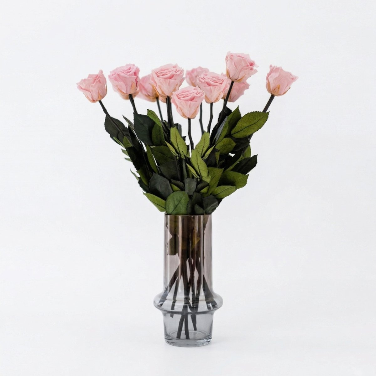 Long Stem Roses | Light Pink Roses - HOUSE OF SHE