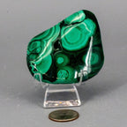 Malachite Crystal Freeform for Transformation & Heart - HOUSE OF SHE