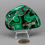 Malachite Crystal Freeform for Transformation & Heart - HOUSE OF SHE