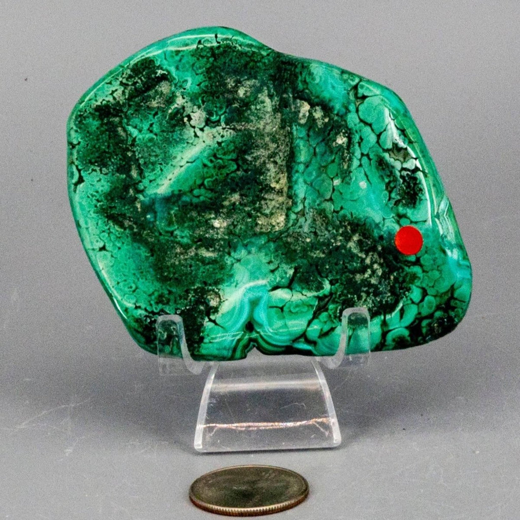 Malachite Crystal Freeform for Transformation & Heart - HOUSE OF SHE