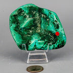 Malachite Crystal Freeform for Transformation & Heart - HOUSE OF SHE