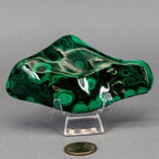 Malachite Crystal Freeform for Transformation & Heart - HOUSE OF SHE