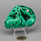 Malachite Crystal Freeform for Transformation & Heart - HOUSE OF SHE