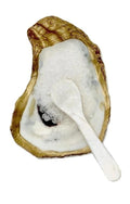 Oyster Shell Salt | Pepper | Caviar Dish with Mother of Pearl Mini Spoon - HOUSE OF SHE
