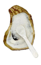 Oyster Shell Salt | Pepper | Caviar Dish with Mother of Pearl Mini Spoon - HOUSE OF SHE
