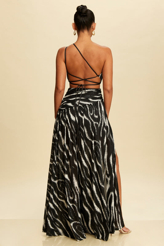 Cape Town Zebra Striped Dress