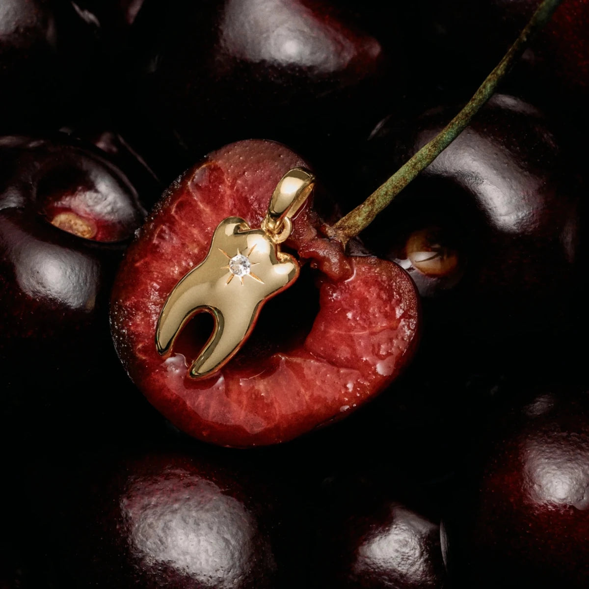 Sapphire Tooth Figaro Necklace - HOUSE OF SHE