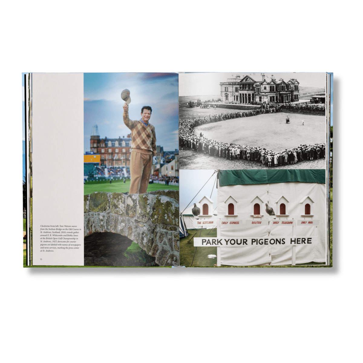 The Stylish Life: Golf - HOUSE OF SHE