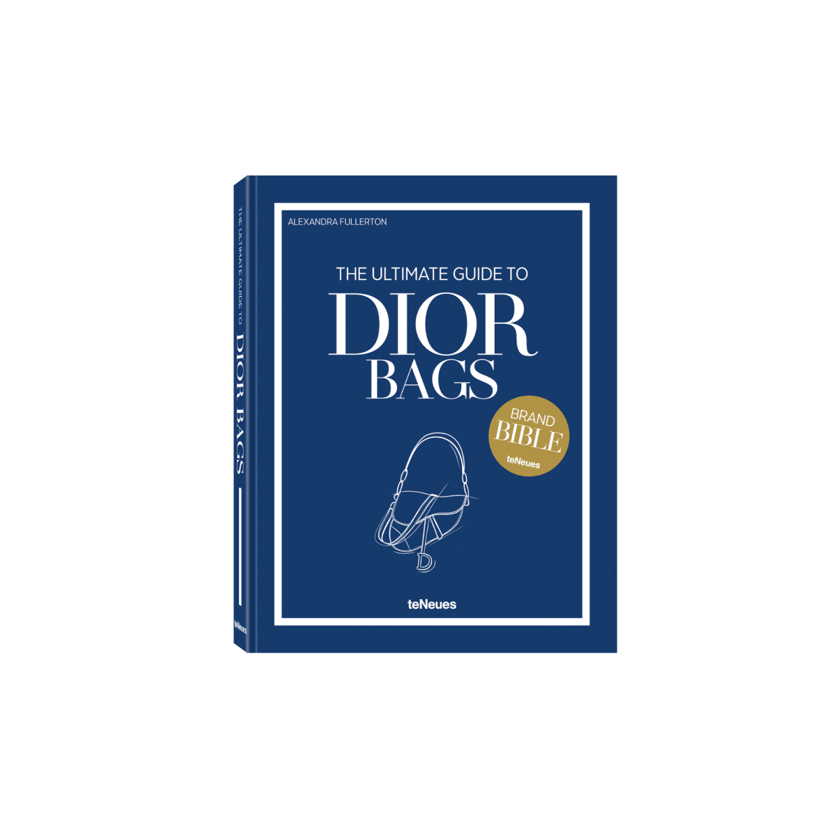 The Ultimate Guide to Dior Bags - HOUSE OF SHE