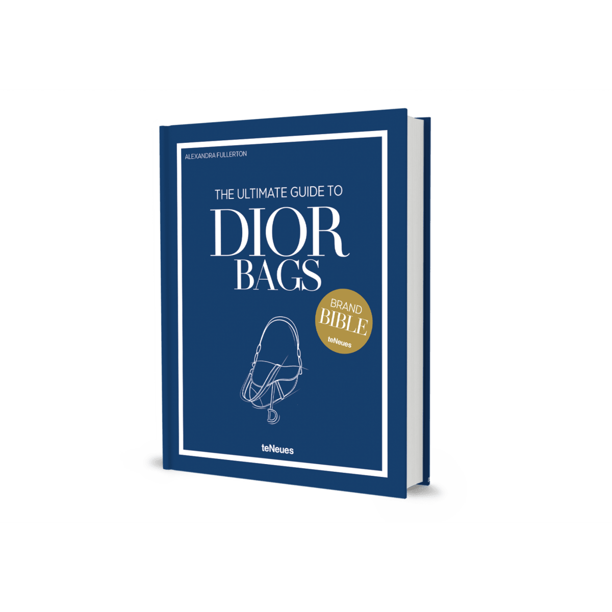 The Ultimate Guide to Dior Bags - HOUSE OF SHE