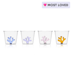 Water Tumblers - HOUSE OF SHE