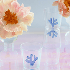 Water Tumblers - HOUSE OF SHE