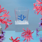 Water Tumblers - HOUSE OF SHE