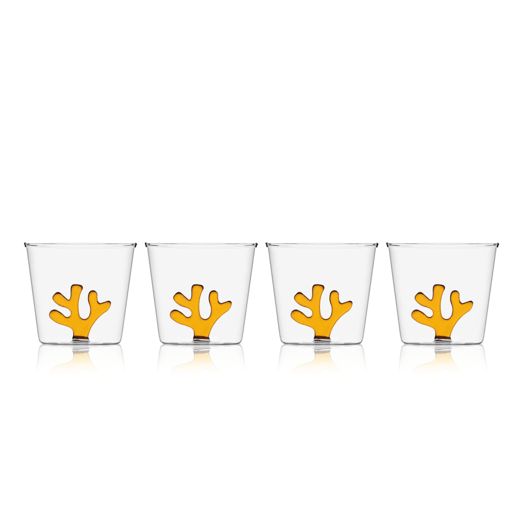 Water Tumblers - HOUSE OF SHE