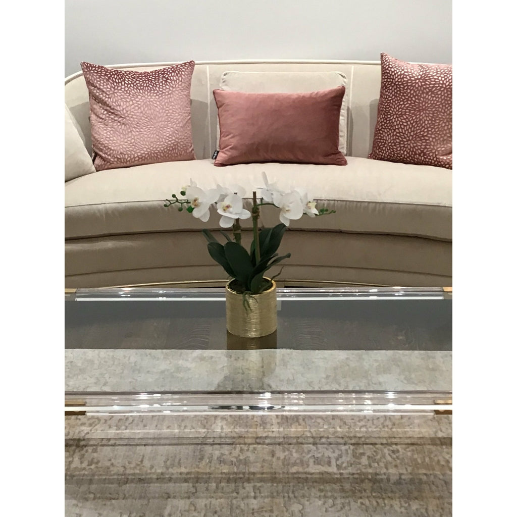2 Branched White Orchid Plant in Matte Gold Pot - HOUSE OF SHE