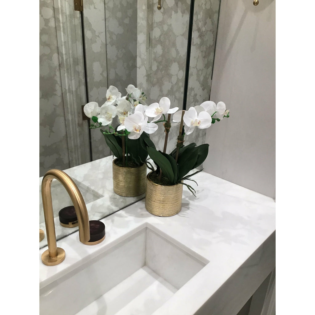 2 Branched White Orchid Plant in Matte Gold Pot - HOUSE OF SHE