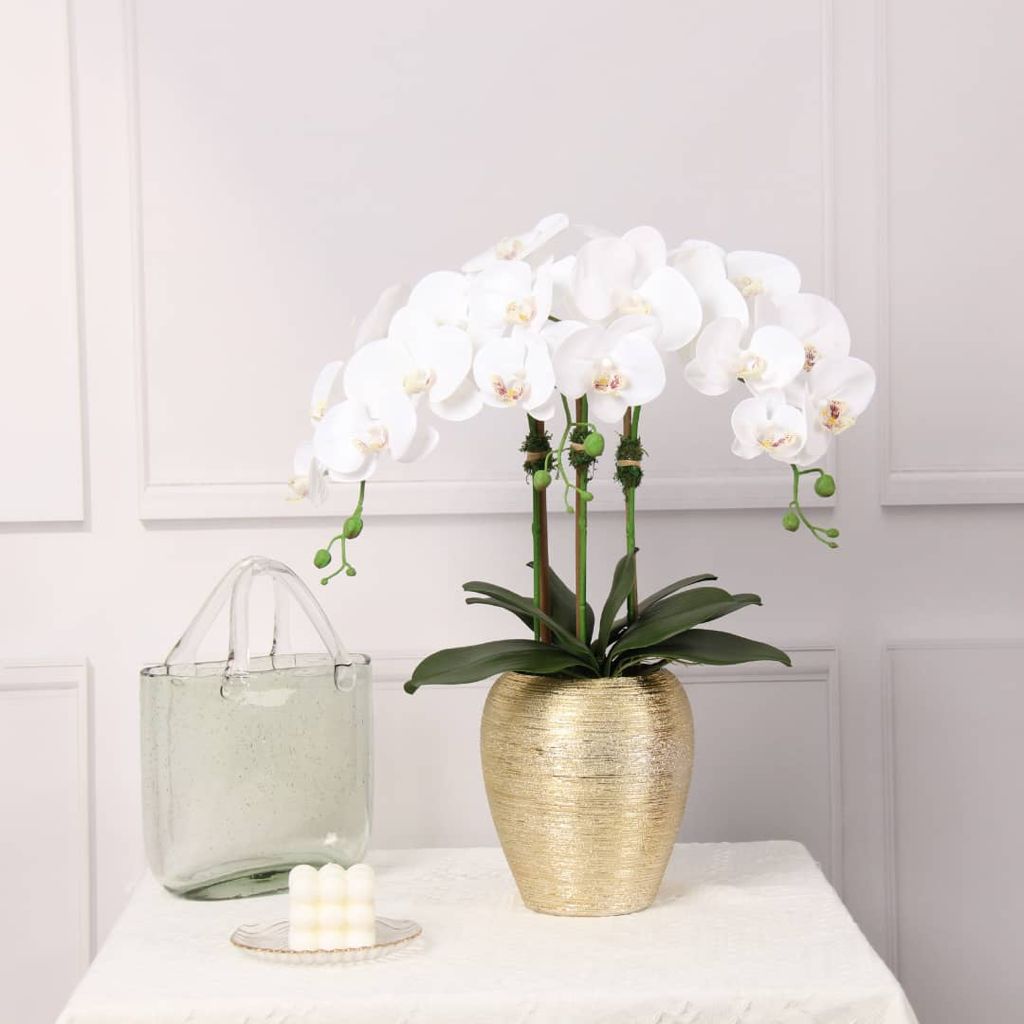 3 Branched White Orchid Plant in Tall Gold Pot - HOUSE OF SHE