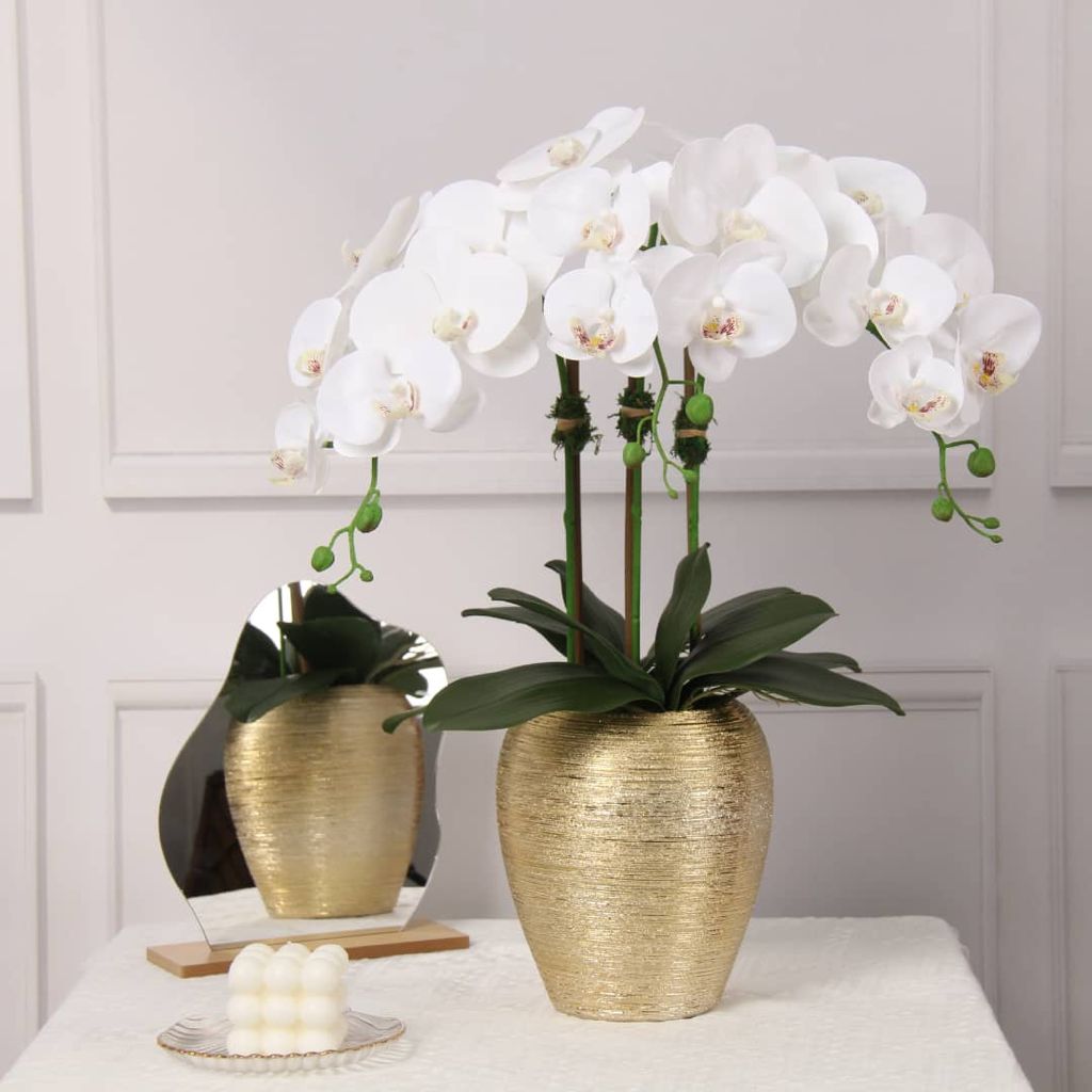 3 Branched White Orchid Plant in Tall Gold Pot - HOUSE OF SHE