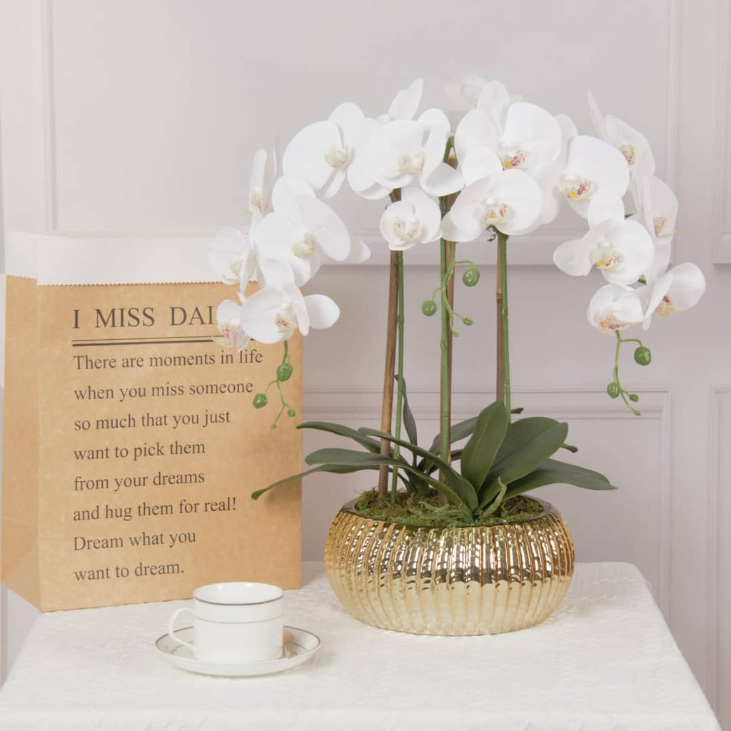 White Orchid plant in Flat Round Gold Hammered Vase - HOUSE OF SHE