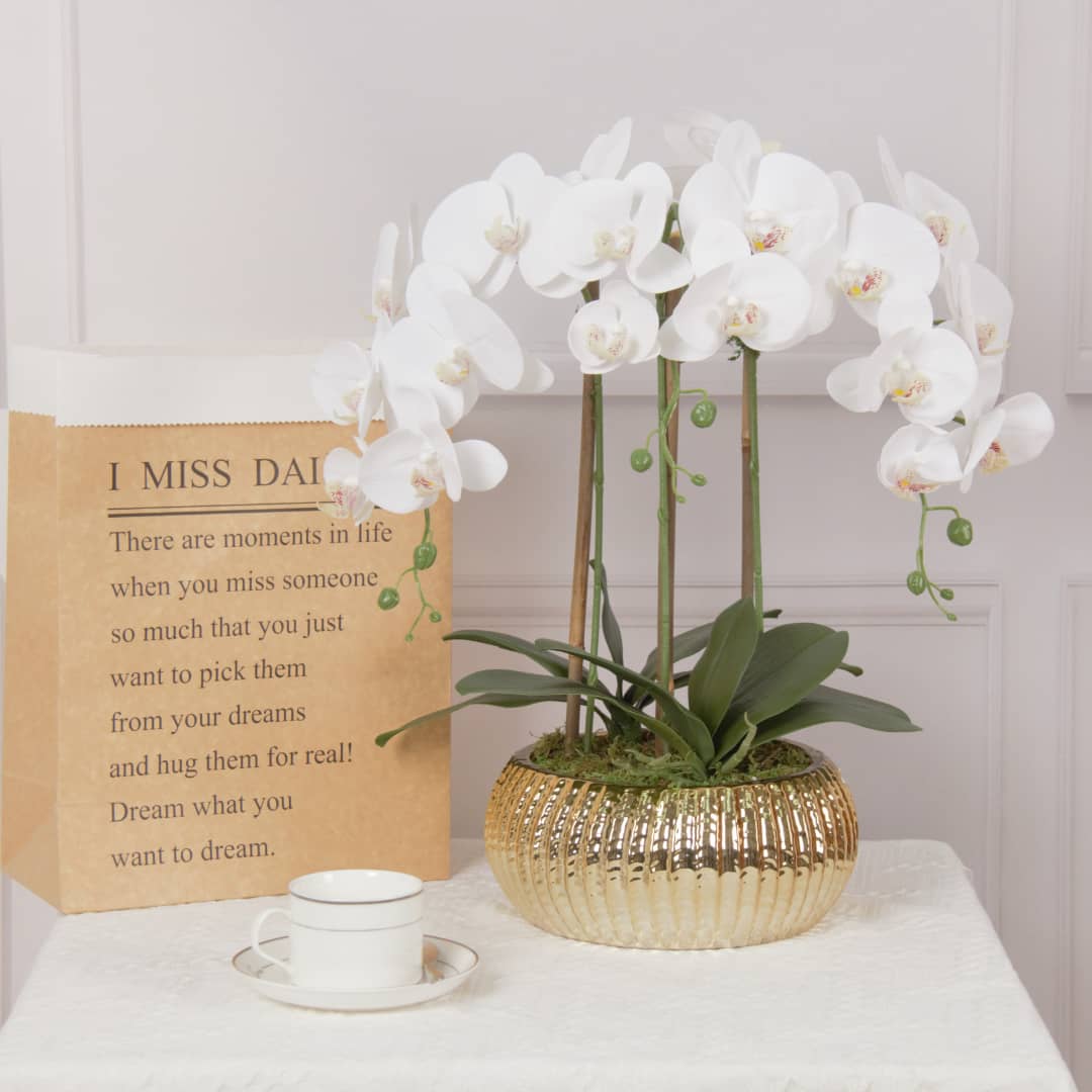 White Orchid plant in Flat Round Gold Hammered Vase  HOUSE OF SHE