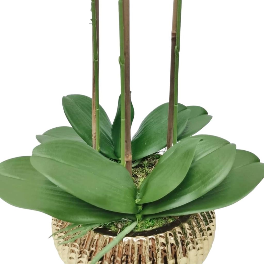White Orchid plant in Flat Round Gold Hammered Vase - HOUSE OF SHE
