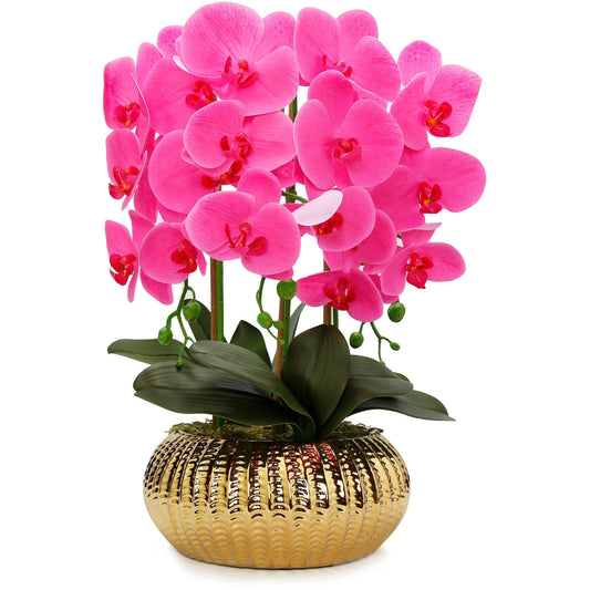 Pink Orchid Plant in Flat Round Gold Hammered Vase - HOUSE OF SHE