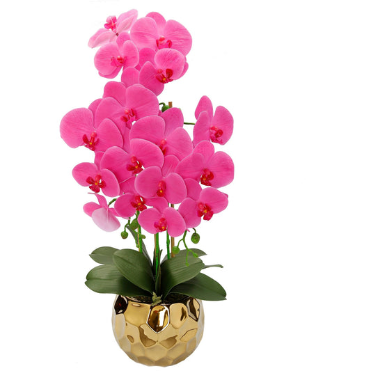 Pink Orchid Plant in Round Gold Design Vase - HOUSE OF SHE